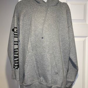 Aritzia Hoodie